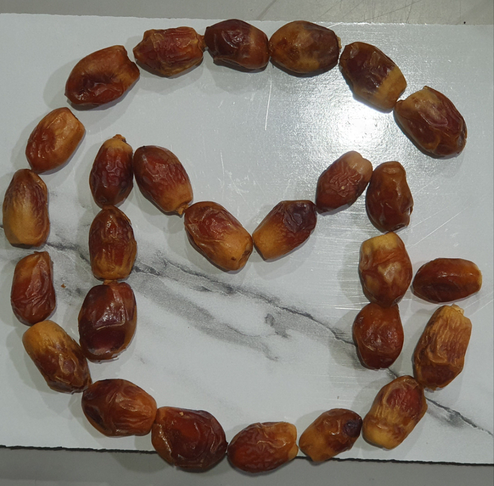 Premium Semi Dry Zahidi Dates from Iran – Fresh & Healthy Packs