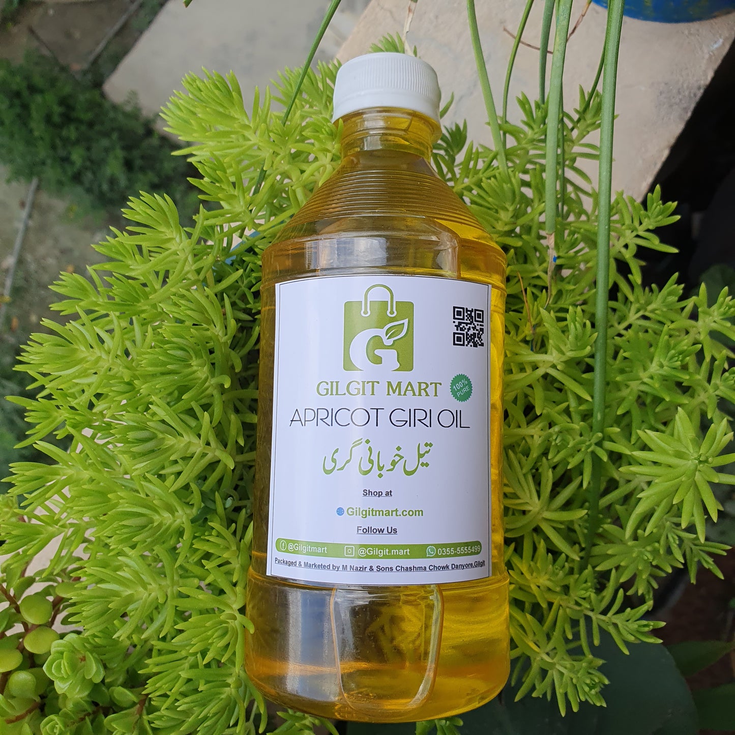 Cold-Pressed Pure Apricot Kernel (Khubani Giri) Oil – Organic Skincare & Cooking Oil from Gilgit-Baltistan