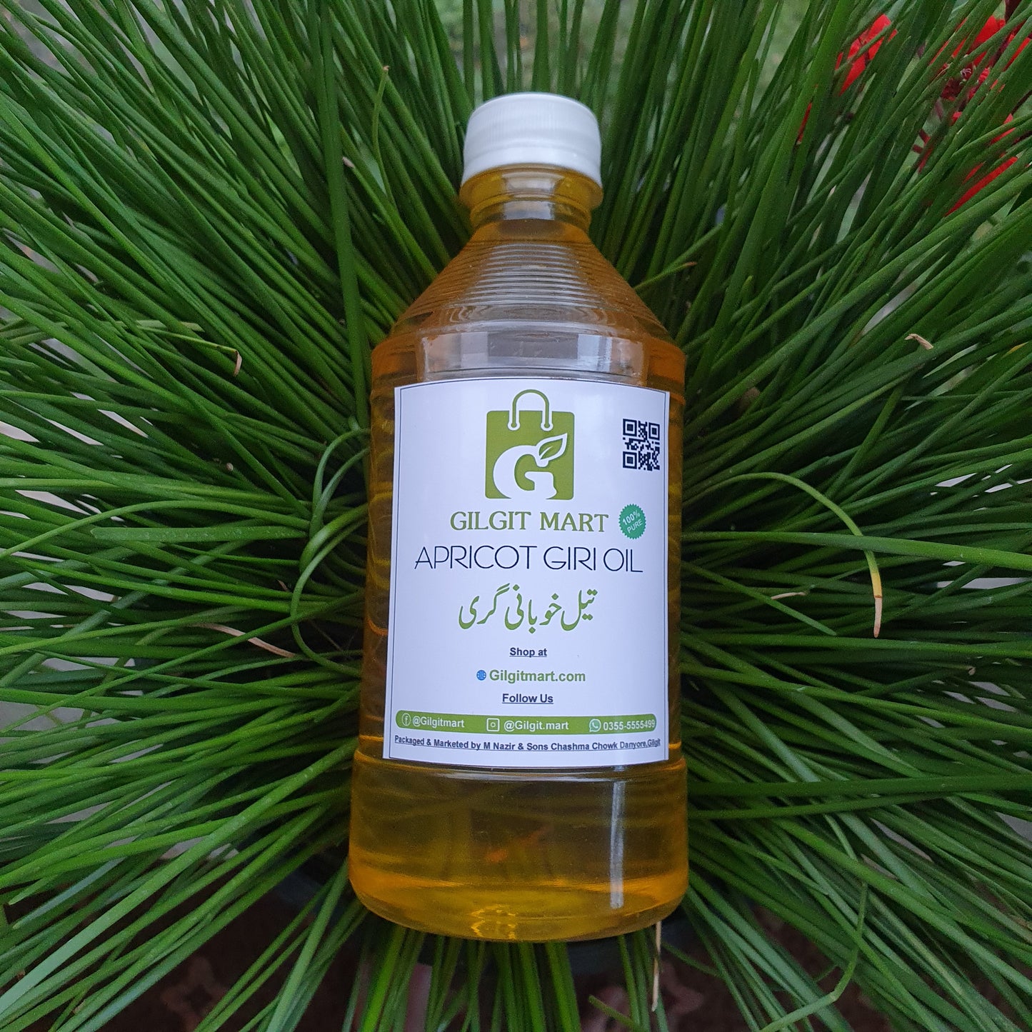 Cold-Pressed Pure Apricot Kernel (Khubani Giri) Oil – Organic Skincare & Cooking Oil from Gilgit-Baltistan