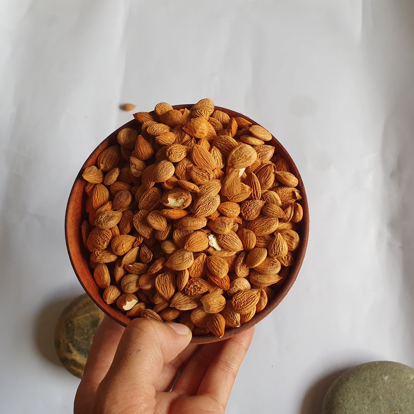 Cold-Pressed Pure Apricot Kernel (Khubani Giri) Oil – Organic Skincare & Cooking Oil from Gilgit-Baltistan