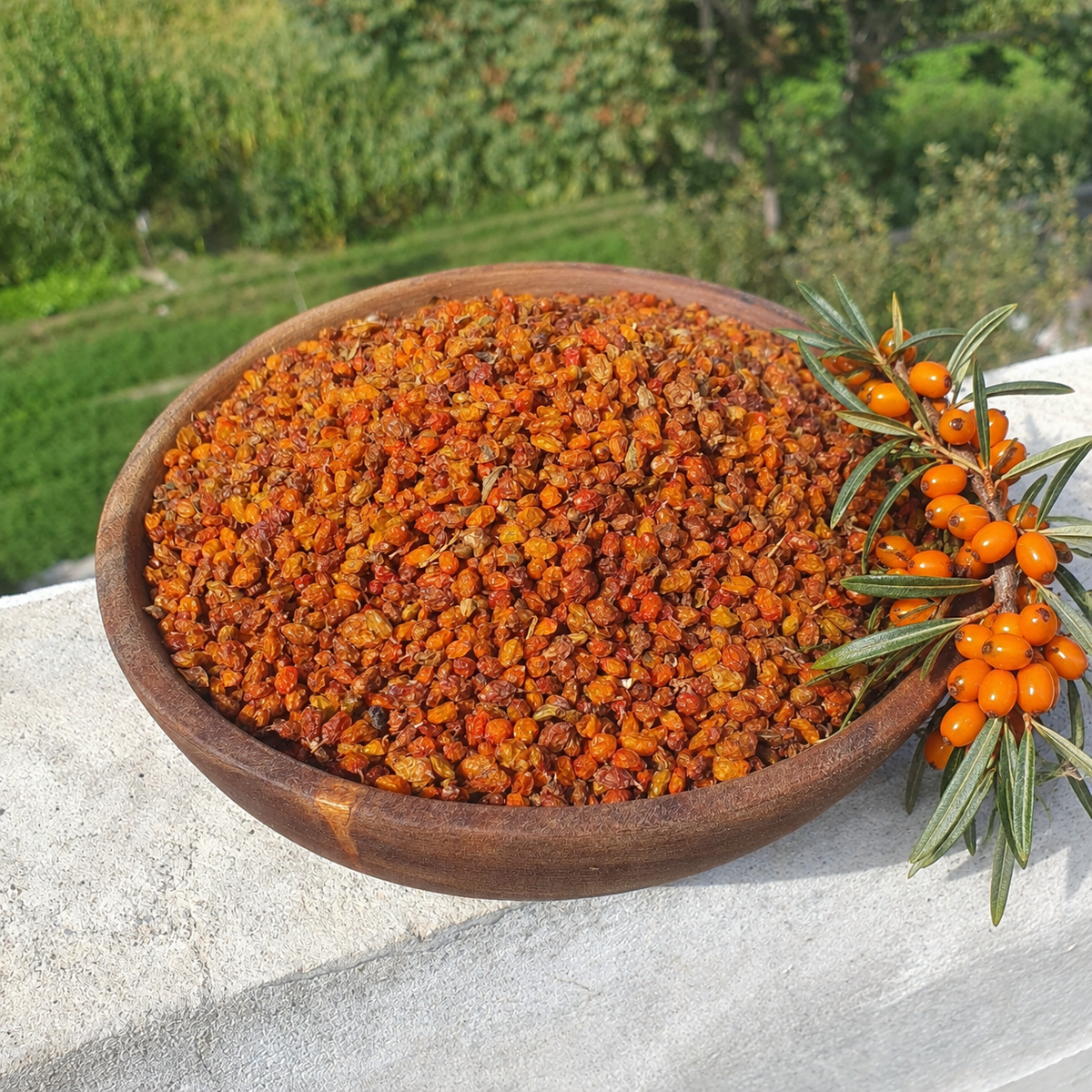 A Wooden bowl full of Wild Harvested Sun dried Sea Buckthorn Berries from Gilgit-Baltistan by Gilgit Mart 