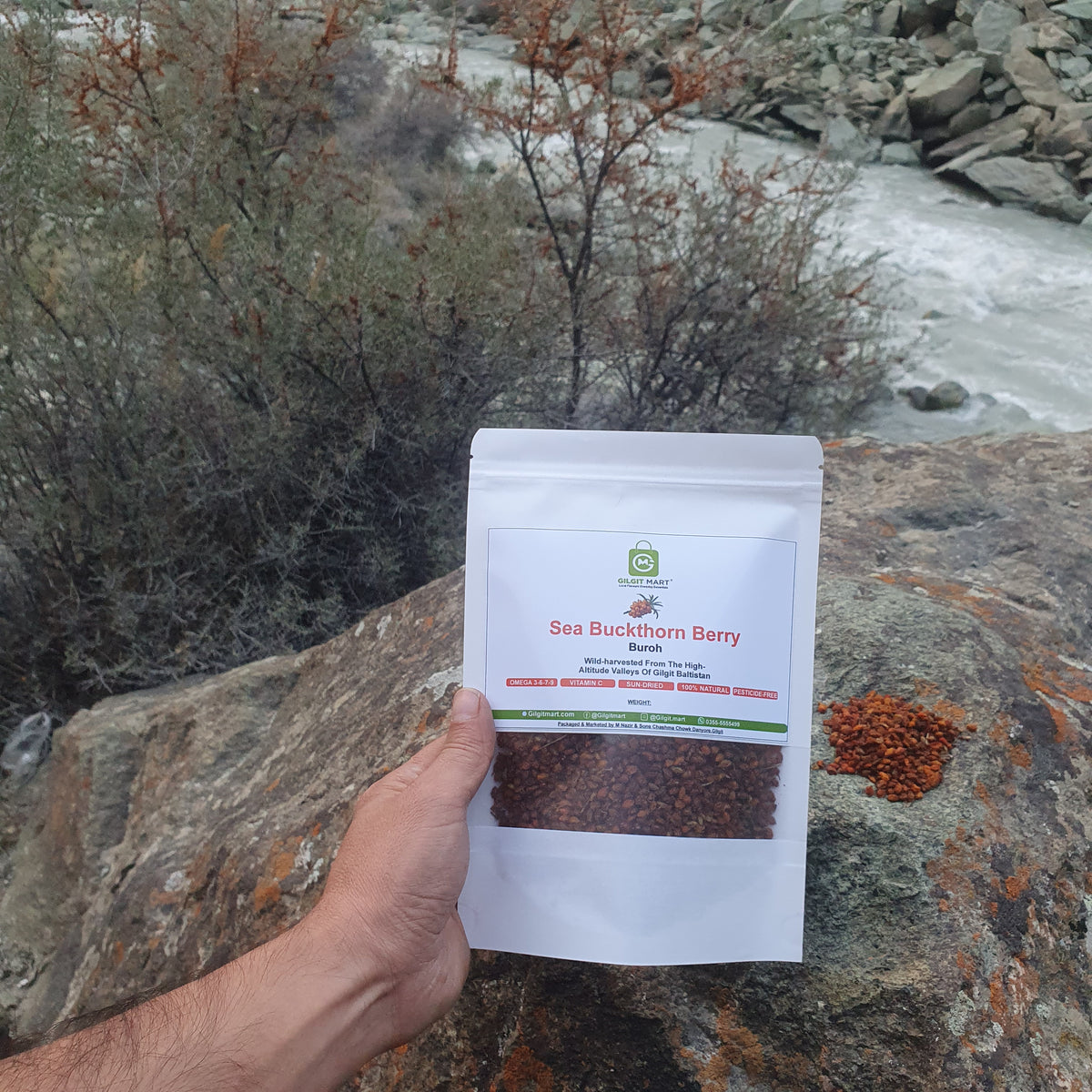 Wild harvested Sea buckthorn berries from gilgit baltistan - GilgitMart 