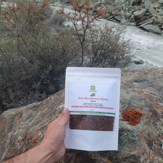 Wild harvested Sea buckthorn berries from gilgit baltistan - GilgitMart 