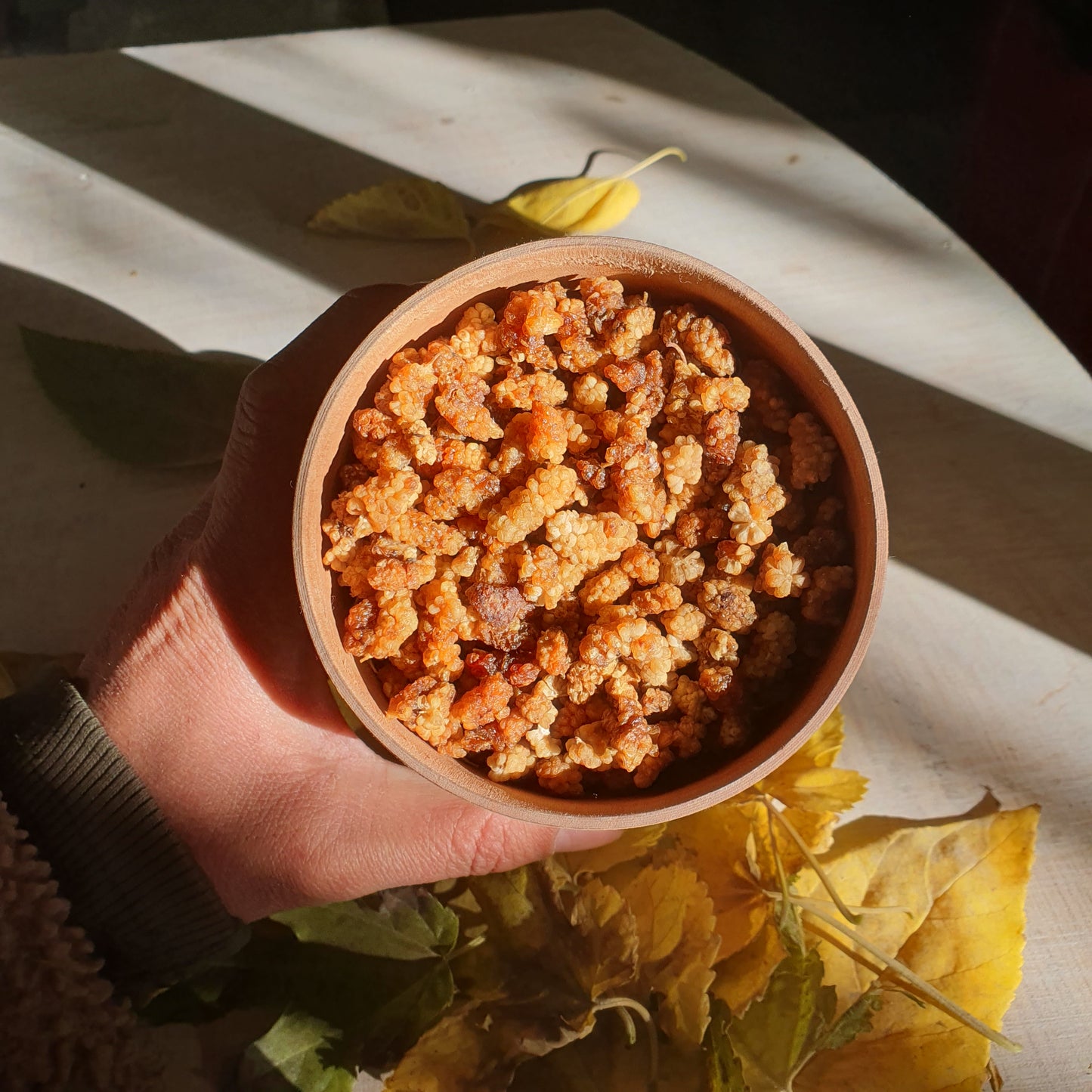 Sun-Dried Mulberries (Shahtoot) – Organic Gilgit