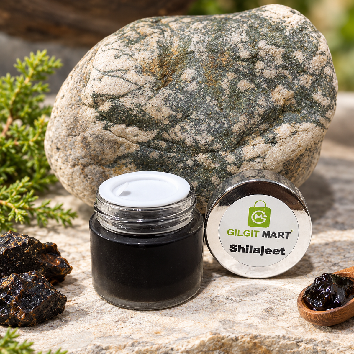 An open jar of shilajit and its lid, labeled 'GILGIT MART Shilajeet', displayed alongside a large natural rock, green foliage, and small dark stones on a stone surface.