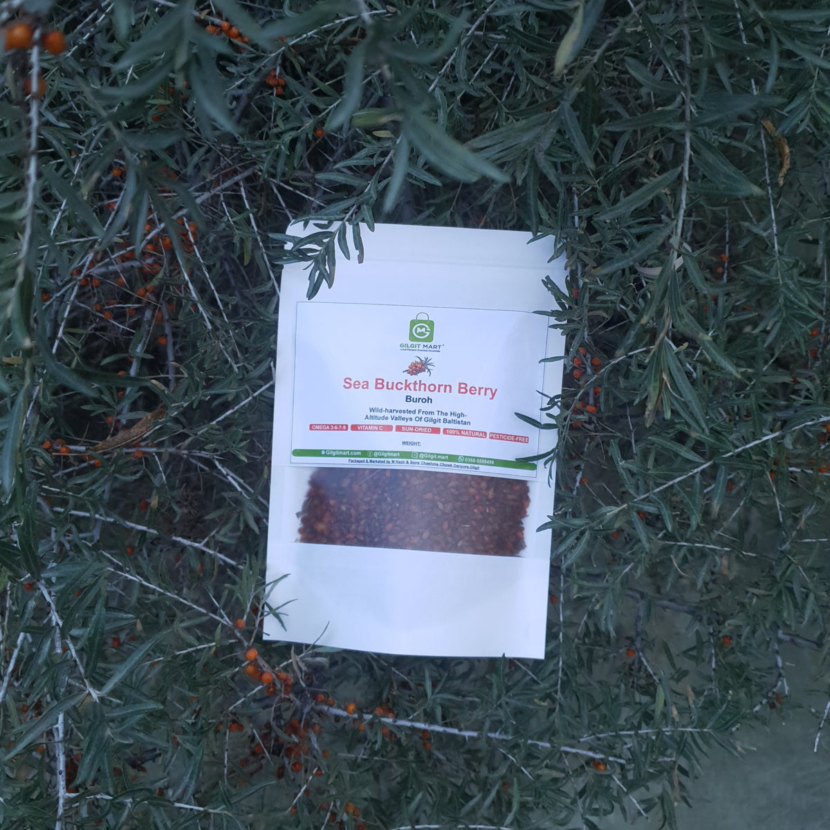 Dried sea buckthorn berry - wild harvested from Gilgit-Baltistan
