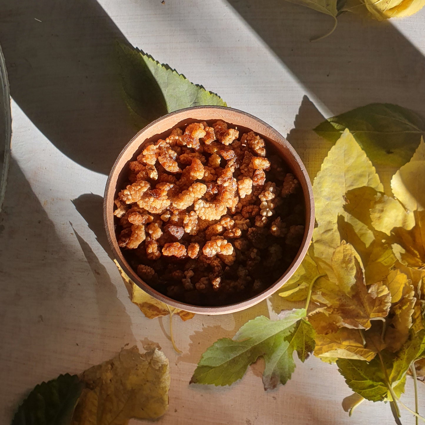 Sun-Dried Mulberries (Shahtoot) – Organic Gilgit